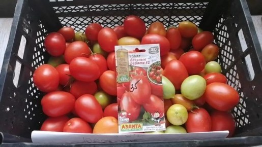 ��������� ����� �������� ������: ������� ��������� ������