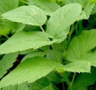 �����: �������� �������� � ���������� �������