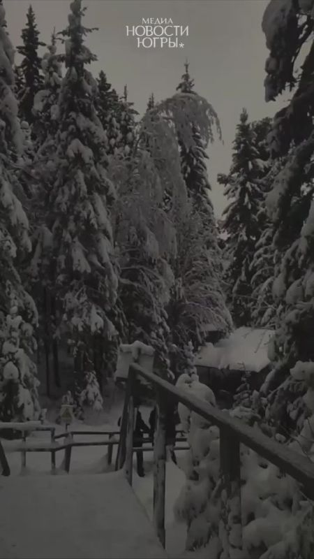 � ���� ����� ���������� ����������