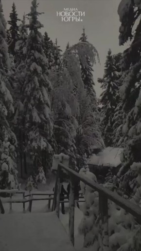 � ���� ����� ���������� ����������