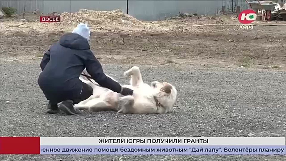 ���������� �������� �������� ������ ��� �������� ������� ������