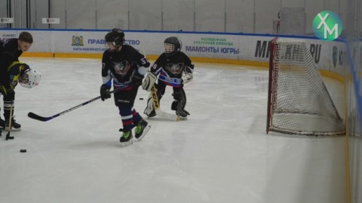 � �������� ������� �������� ������ ����������� ��������������� �����