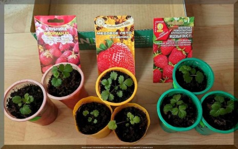 ������ �� ������ ������ �� ����