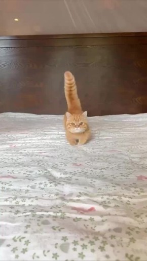 ������ ����, ������!. ����� ��� �������� ��� ������� ������� ������! ��������� �� ������� ���� | ������ ��� � MAX