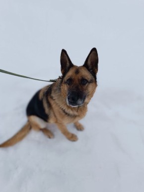 ���� ���������-���������� ����������� ���� ����� ������