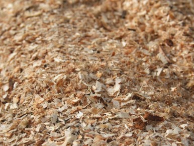 ������ � ����: ��� ��������� ������������ �� � ����� �������?