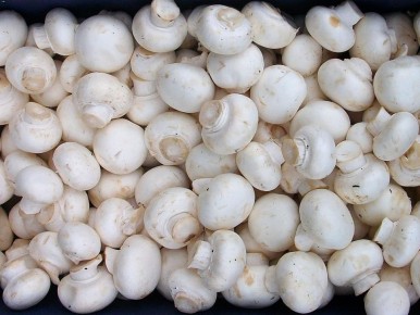 ������ ���� ���������� �� ������? �������� ������