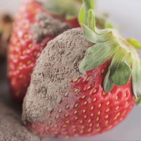 ����� ����� �� ��������: ��� ������ ������ � �������� ������