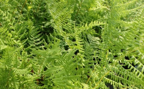 ����������: ��������� ����������� � ����� � ����� ����