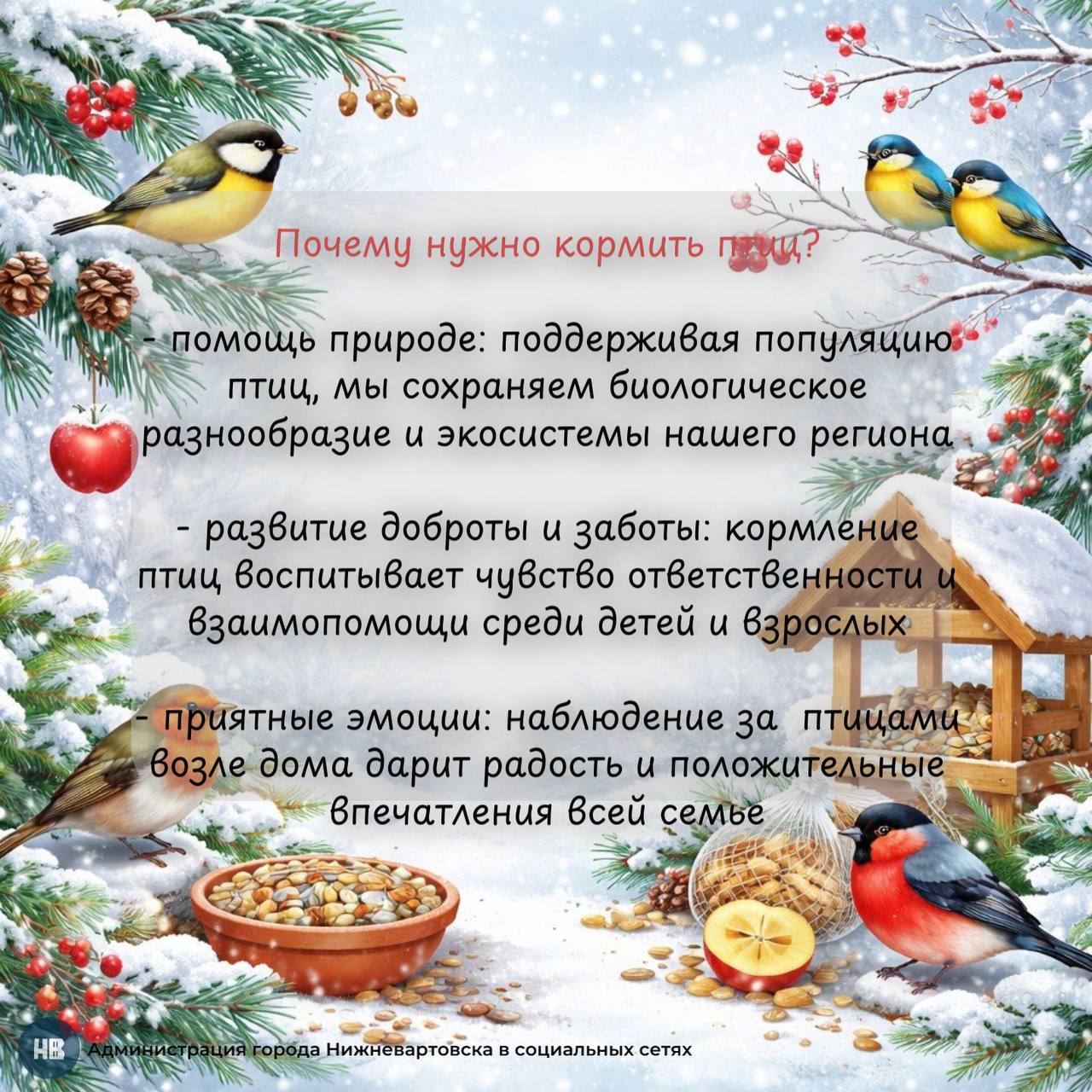 Именно зимой птицы испытывают наибольшие трудности с поиском пищи и нуждаются в нашей поддержке Именно зимой птицы испытывают наибольшие трудности с поиском пищи и нуждаются в нашей поддержке