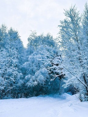 Наступил самый долгожданный день недели – пятница
