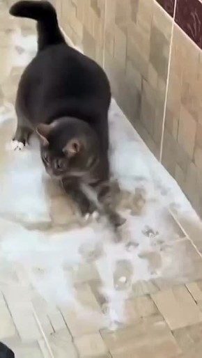 ��������� �� �������!. �� ����� - �������� ������ ���� ����� � �������, ����� ��� ��� ����� �� ������! ��������� �� ������� ���� | ������ ��� � MAX