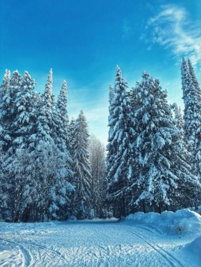 ����� - ��� ���������� �����������, ������� ����� ������������ ������ ����