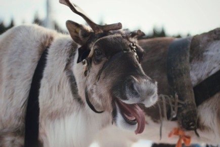 ������ ����� �������� ������ � ���� ������������� � ���������� � ����������� �������