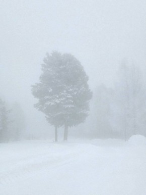 ����� - ��� ���������� �����������, ������� ����� ������������ ������ ����