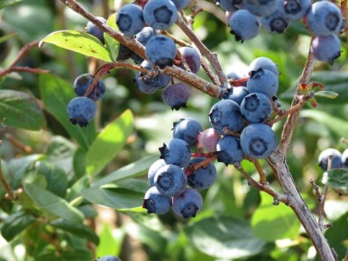 ��� ������ ����� �������� �����? �������� ������� ��������� �����