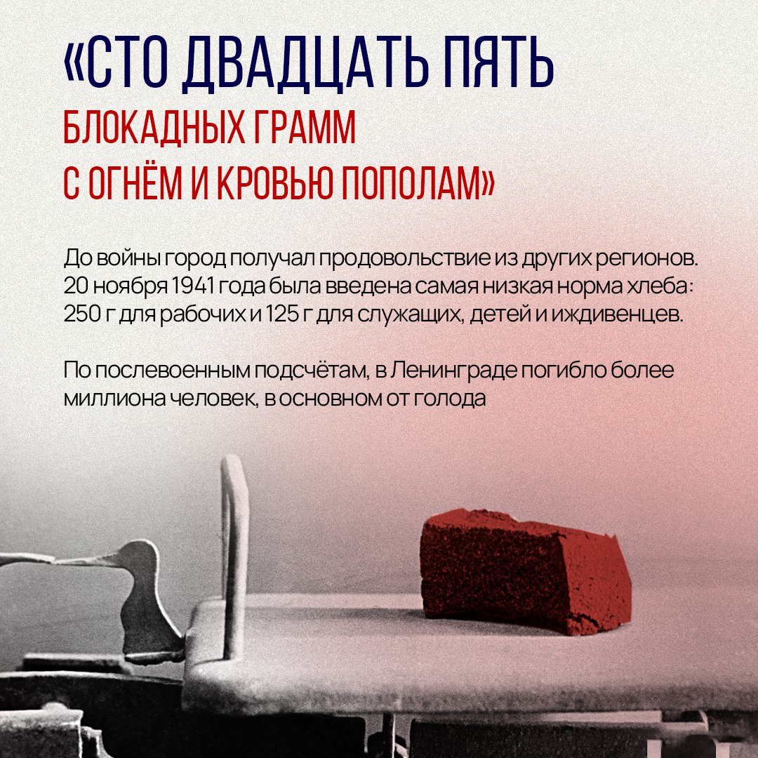 82 года со дня освобождения Ленинграда 82 года со дня освобождения Ленинграда