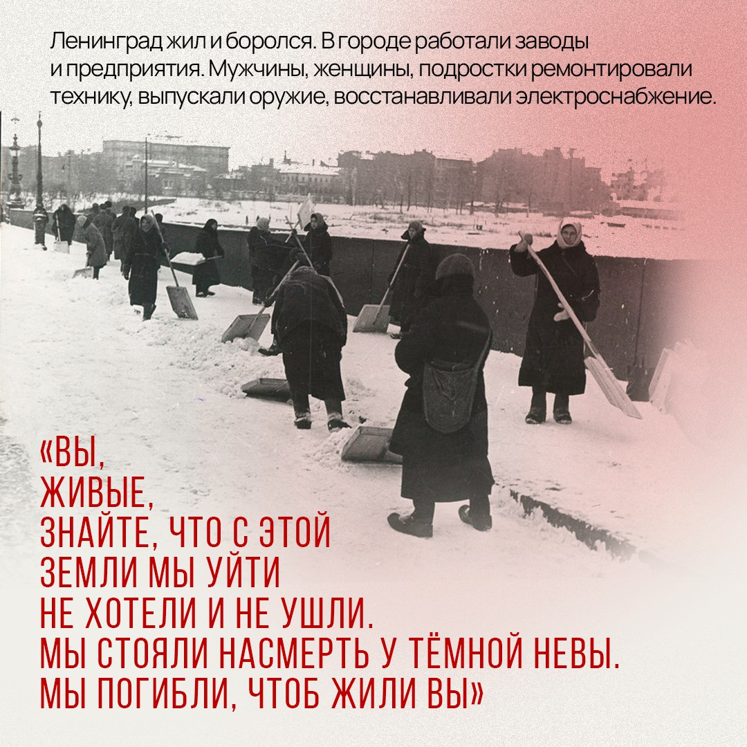 82 года со дня освобождения Ленинграда 82 года со дня освобождения Ленинграда