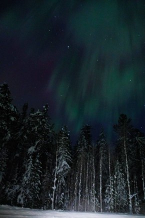 Чудеса приходят даже к тому, кто перестал в них верить
