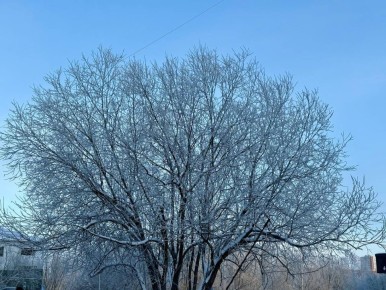 ������ ����!. �������������� ����� ���� ����