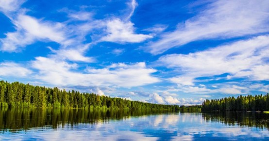 Югорчанке экстренно пересадили печень