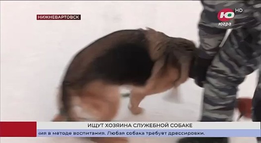 � �������������� ��������� ������ ���� �������