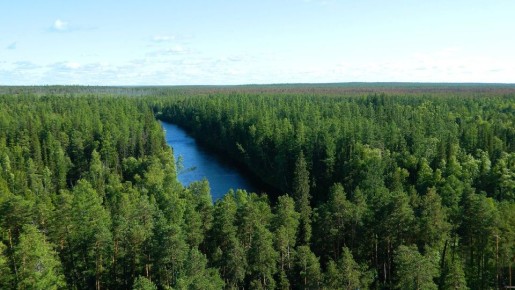 Когда возраст – это повод для гордости