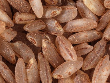 ��� ������� ��� ��� ����� � ������ ��� ����������� � ��������� ��������