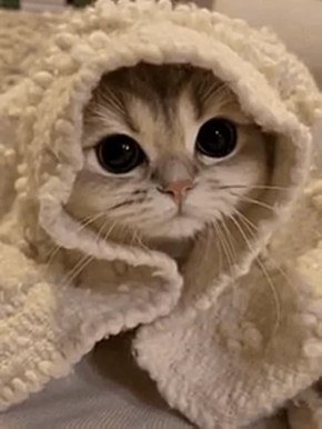 В Югре будут хозяйничать мороз до -45°С и сильный снег в ближайшие выходные