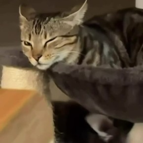 ������ ����, ������!. ������ ��� ��������� �����������, ��� ��, ��� ����� �� ���� �����