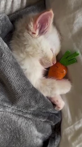 Рабочая неделя завершена. Админ уходит в спячку на все выходные Подпишись на Новости Югры | Читать нас в MAX