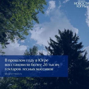 В 2025 году в Югре восстановили более 26 тысяч гектаров леса