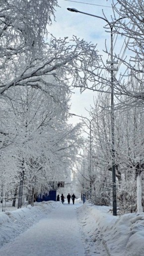 ������ �� ���������� ���� ������� �������, ���� ����� � � ���� ������ ������