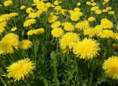 ��������� � �������: ���� ��� �������?