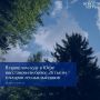 В 2025 году в Югре восстановили более 26 тысяч гектаров леса
