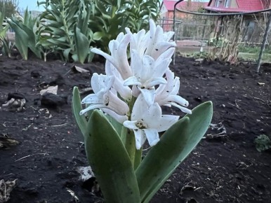 ����� ������ �������� � �����: ������� �� ����������