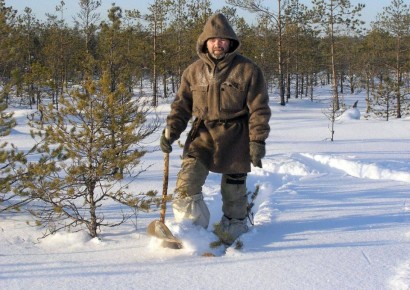 Что общего у албанского дрозда, испанского вальдшнепа и куличка, летящего на Мадагаскар?
