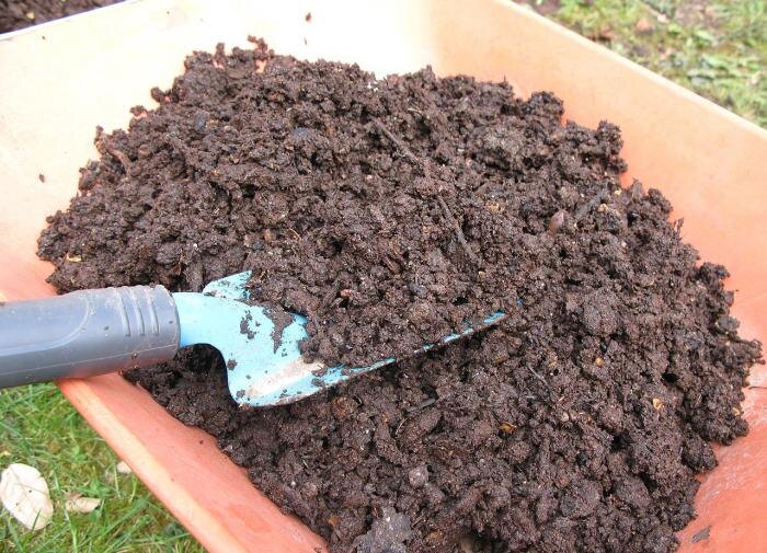 Ошибки компостирования, которых стоит избегать осенью