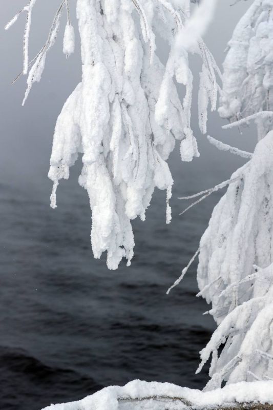 ����� ��������, ��� ���� �����������, �� ��������� ���� � ��������� ���� ���� ��������