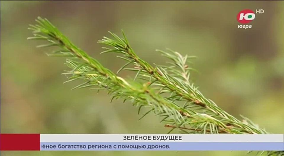 �� ���� ������ �����-�������� �������� ��������� ������������ ��������� ������� ��������� ����