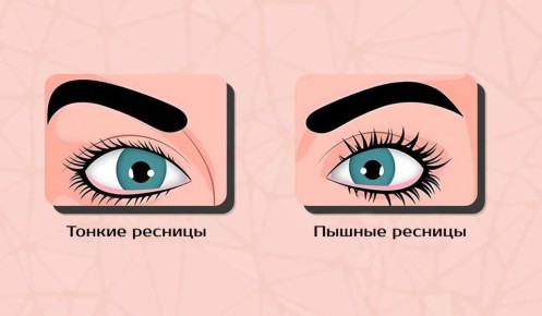 Что ваши ресницы говорят о вашем характере?