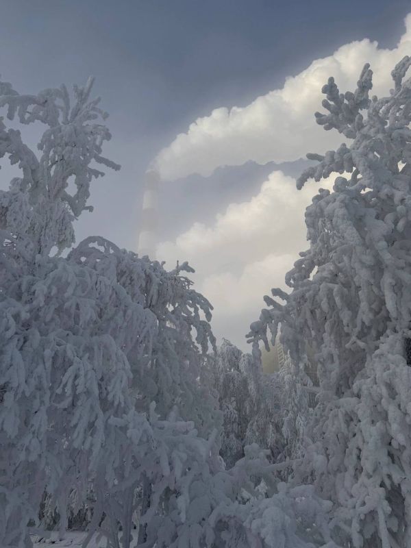 ����� ������ � ����� �����������