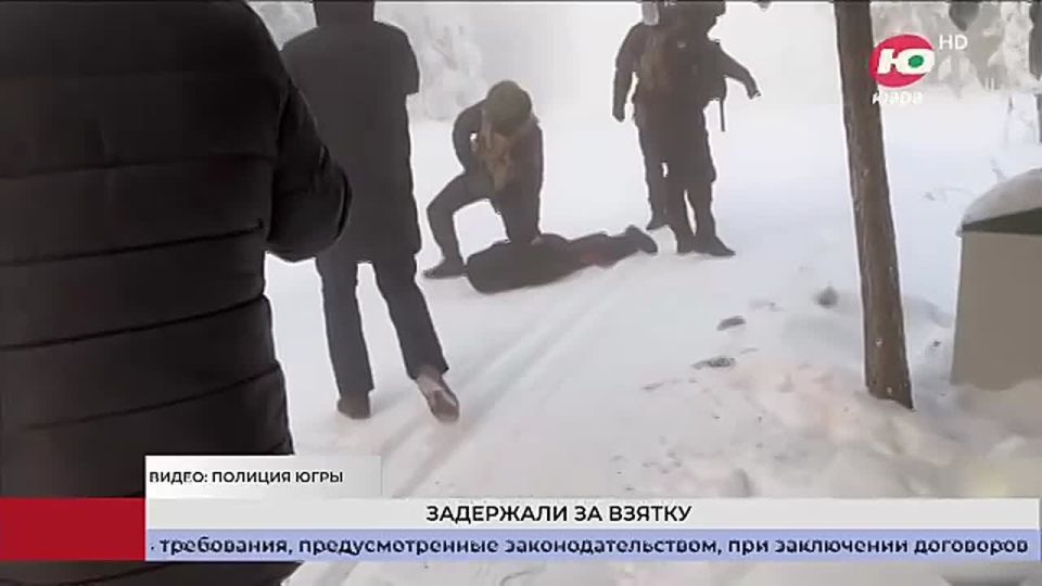 ���������� ������ ������������ ����������� ���������� ������ ��������� ��� ������� ��������� ����������