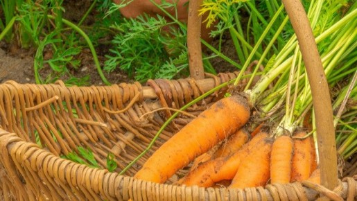 �� ����� ������� ������: ������ ������� ���������� � ������, ������� ������ ������������