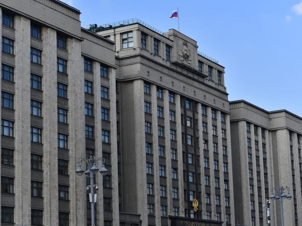 Госдума обсуждает новый подход к безопасности платежей в компьютерных играх