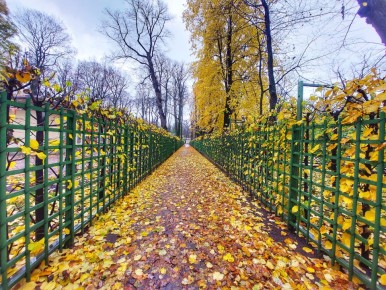 ������� ������ ���: ����� �� �������� � ������?