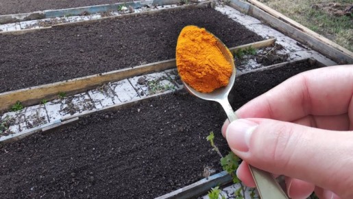 ��� ��� ����� ����� � ������� ���������� ����� � ��������� ������