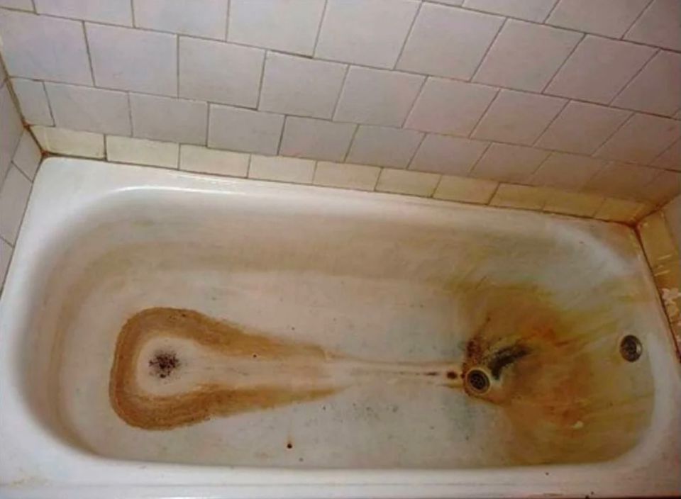 Как легко сделать санузел сверкающим: советы по выбору средств