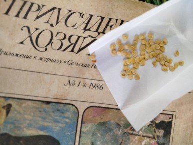 ��� ������������ ������ ������: ���� � ����������