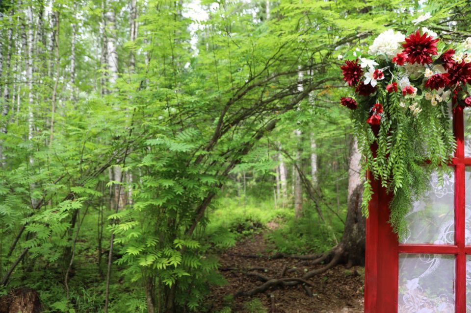 ����� 12 ��� ������ �������� ����� �� �������� ����� ������� ������� ��������� - ������� ��������� �����